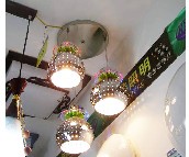 ǧҲ������ 1628/1 ���ٟ���+���ٟ��� 