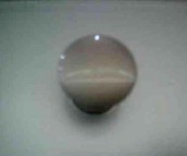 �ѻ����T������� ���yɫO220735 �X�Ͻ�