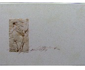 ˹�׿ˉ��u��Ƭ ������ VCH0902NP 250��330mm 