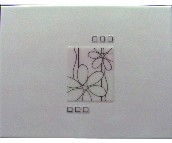 ˹�׿ˉ��u��Ƭ ˮ�л�  VCH594NP 300��600mm 