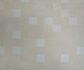 �ٺ͵شu �¹ŴuBW1-30523 300mm��300mm 