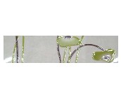 ���� ��Ƭ ����3A63187E1-H 80mm��330mm 