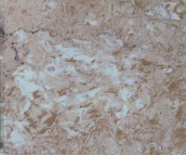 �W���Z����u �����u�\��ɫOX30280P 800mm��800mm 