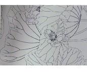 �W���Z���u��Ƭ ���� YF523H1A 300��450mm 