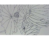 �W���Z���u��Ƭ ���� YF523H1B 300��450mm 