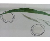 �W���Z���u��Ƭ  YF027H1A 300��450mm 