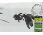 �W���Z���u��Ƭ  YF027H1B 300��450mm 