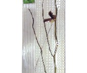 �W���Z���u��Ƭ ���u TL004H1A 300��600mm 