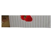 ���� ��Ƭ ����3-3E42121E1-H2 70mm��450mm 