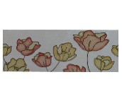 ������Ƭ ����JAST66881PY 60mm��300mm 