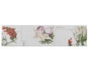 ��܊��Ƭ ����98116 90mm��480mm 