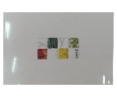 ������ɯ���u��Ƭ 30-45DI20007BM 300��450mm 