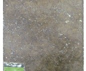 �@ʯ�شu �¹Ŵu�شu G2D8003AC 333mm��333mm 