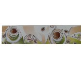 �ص���Ƭ �;�ˮ��4R205Y1 70mm��300mm 