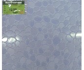 ��ꖵشu �¹Ŵu�Z��ʯ JM-E343009 300mm��300mm 