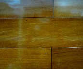 ��ɭ��ľ�ذ� �F�Kľ 610mm��125mm����18mm 