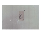 �@ʯ���u��Ƭ G202bKS 300��450mm 