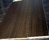 ����ό�ľ�ͺϵذ� ���ӌ�ľ�ͺ���̴ 808mm��147mm����12mm 