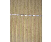 ���S���~�� ��ľ�y ӆ�� 