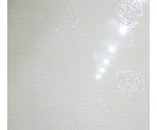 ��ʢ���u��Ƭ 922AT 300��450mm 