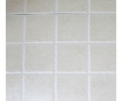 ��ʢ���u��Ƭ  300��450mm 