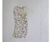 ���Ɖ��u��Ƭ QE6008AH-T 300��600mm 