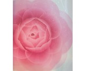 ���n���� PVC 5982-1 1.06��1.5M 