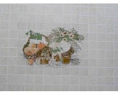 �f��¡���u��Ƭ 351563-IPH2(����һ) 300��450mm 