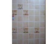 �W˹��������u ����u�ɫ���ӈD��93021 300mm��450mm 