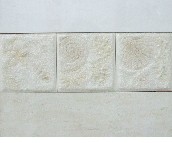 ��ˇ����Ƭ ����׺�60856 100mm��300mm 