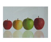 ��ˇ�҉��u��Ƭ M42000AW01Q 300��450mm 