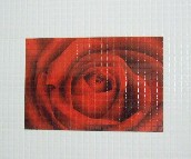 ��ˇ�҉��u��Ƭ M42026DW02B 300��450mm 