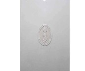 ���Չ��u��Ƭ 2A451602G-V 300��450mm 