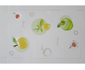 �ճǉ��u��Ƭ CY61148PH1 300��450mm 