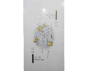 ���Չ��u��Ƭ 2A631820E1-W 300��600mm 