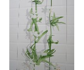 �ճǉ��u��Ƭ CY61101PH2 300��450mm 