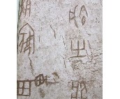 ����w�扦�� PR-0163 0.53��10M 