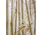 ����w�扦�� PR-0224 0.53��10M 