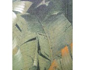 ����w�扦�� PR-0223 0.53��10M 