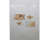 �������u��Ƭ MG1-43163T 300��450mm 