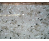 �»��K��PVC���ϵذ�  600��600mm 