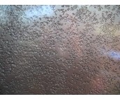 �»��K��PVC���ϵذ� ���g 600��600mm 