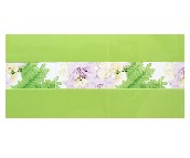 ��ʢ��Ƭ ����9WBC3 60mm��300mm 