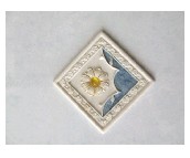 ��ʢ���u��Ƭ 909AJ 300��450mm 