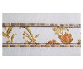 ��ʢ��Ƭ ����903BT 60mm��300mm 