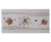 ��ʢ��Ƭ ����903BC1 106mm��300mm 