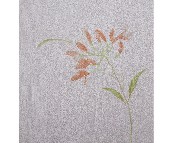 ��ܽ�Չ��� 28306 0.53��10M 