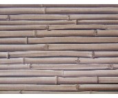 Jianya ���� 0.53��10M 331  ��y ��ɫ  