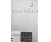 ��˹؈����u ����u�y��D������ɫ45011 300mm��450mm 