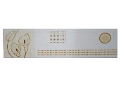 ��x��Ƭ ���� 60mm��300mm 